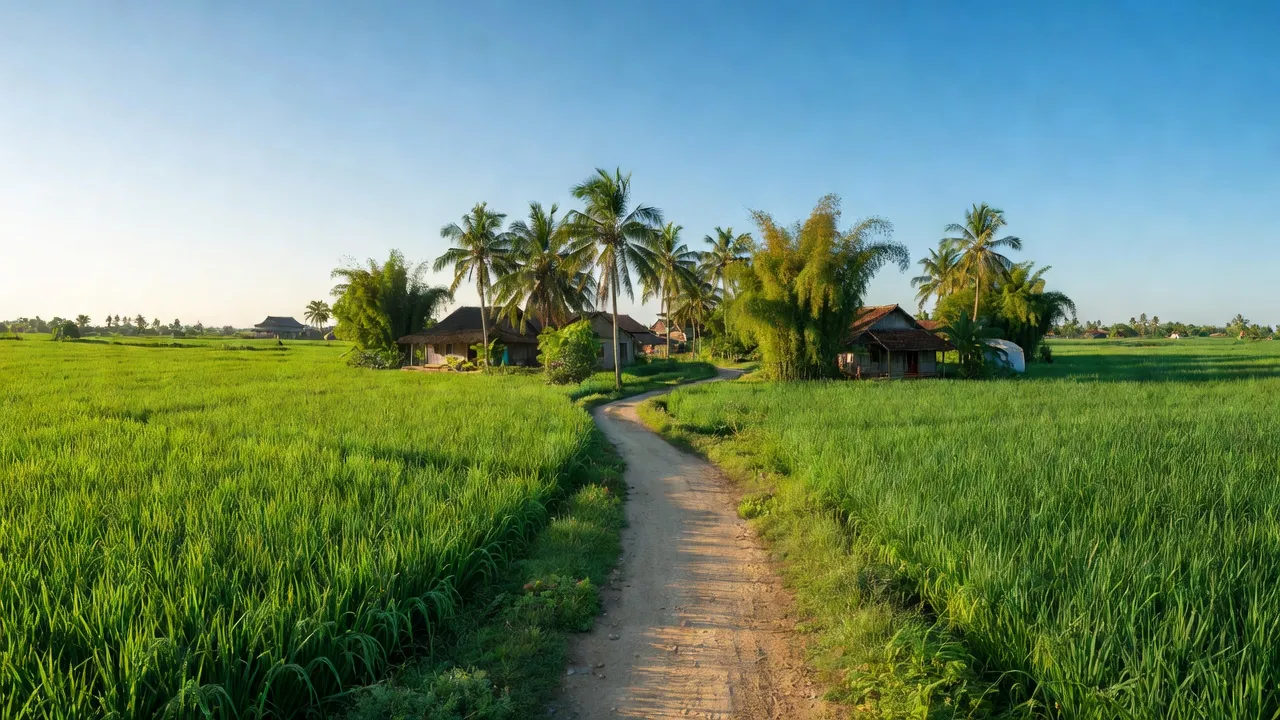 Cảnh quan xã Long Hựu Đông, huyện Cần Đước, tỉnh Long An với đồng xanh và đường làng thanh bình.