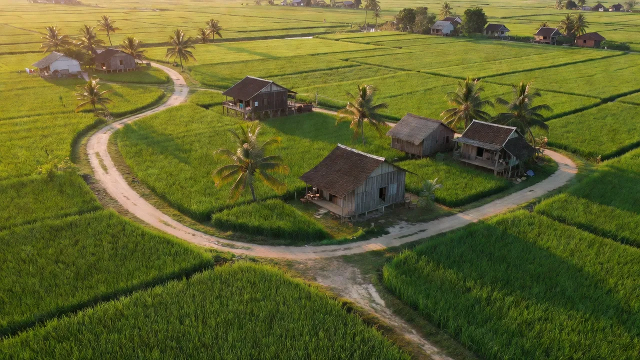 Cảnh quan nông thôn xã Tân Ân, huyện Cần Đước, Long An với cánh đồng xanh và nhà cửa.