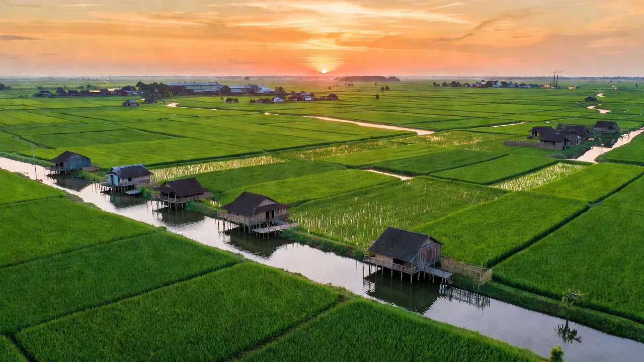Cảnh sắc Xã Tân Chánh, huyện Cần Đước, tỉnh Long An với đồng ruộng và kênh rạch xanh mát.