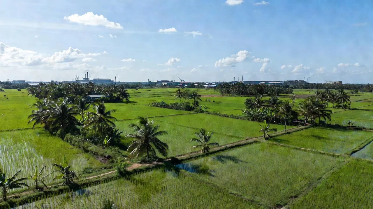 Khung cảnh yên bình của xã Long Hậu, huyện Cần Giuộc, tỉnh Long An với đồng xanh và khu công nghiệp.