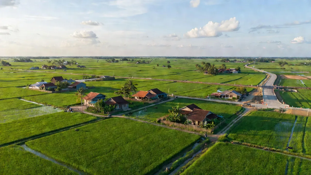 Phước Lâm - hình ảnh minh họa 1