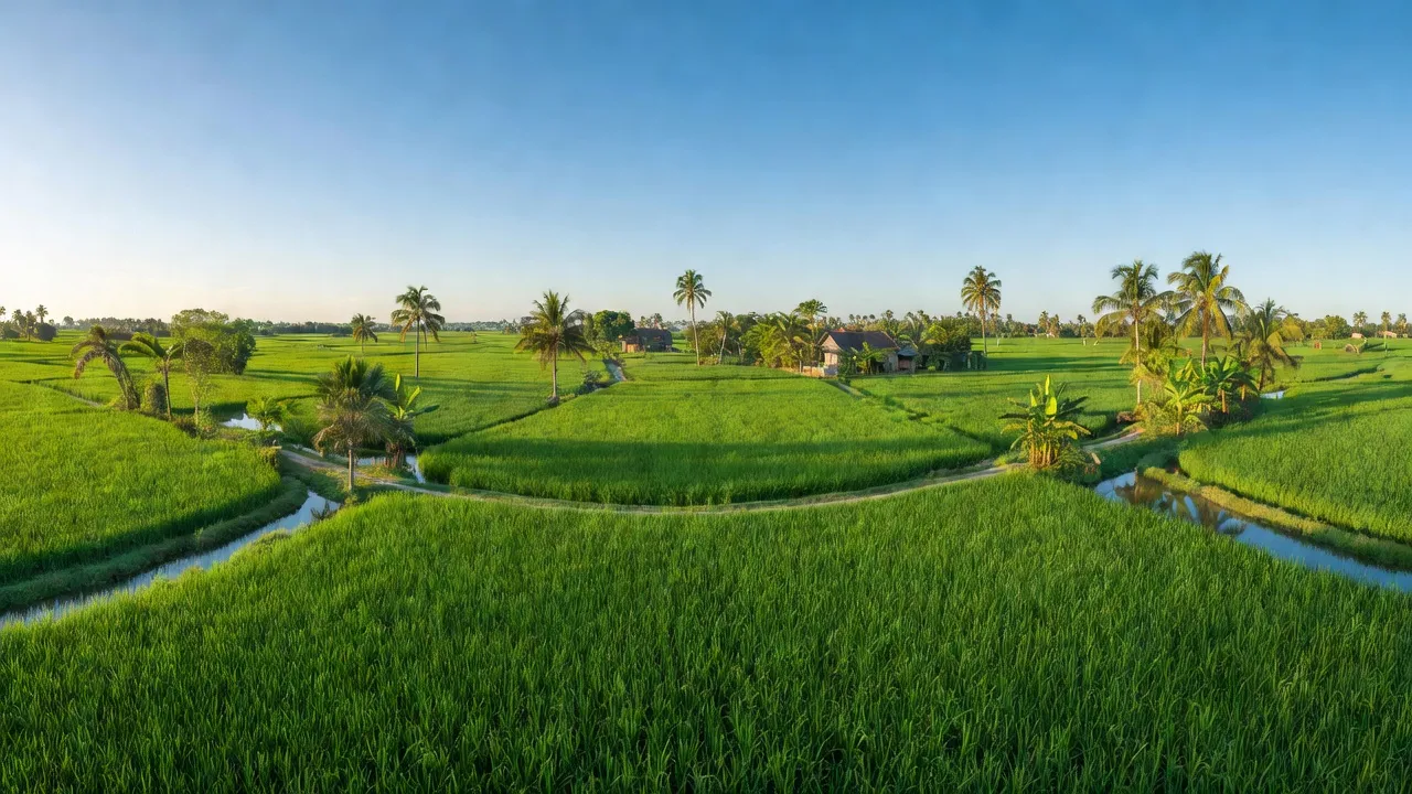 Xã An Ninh Đông, Huyện Đức Hòa, Tỉnh Long An