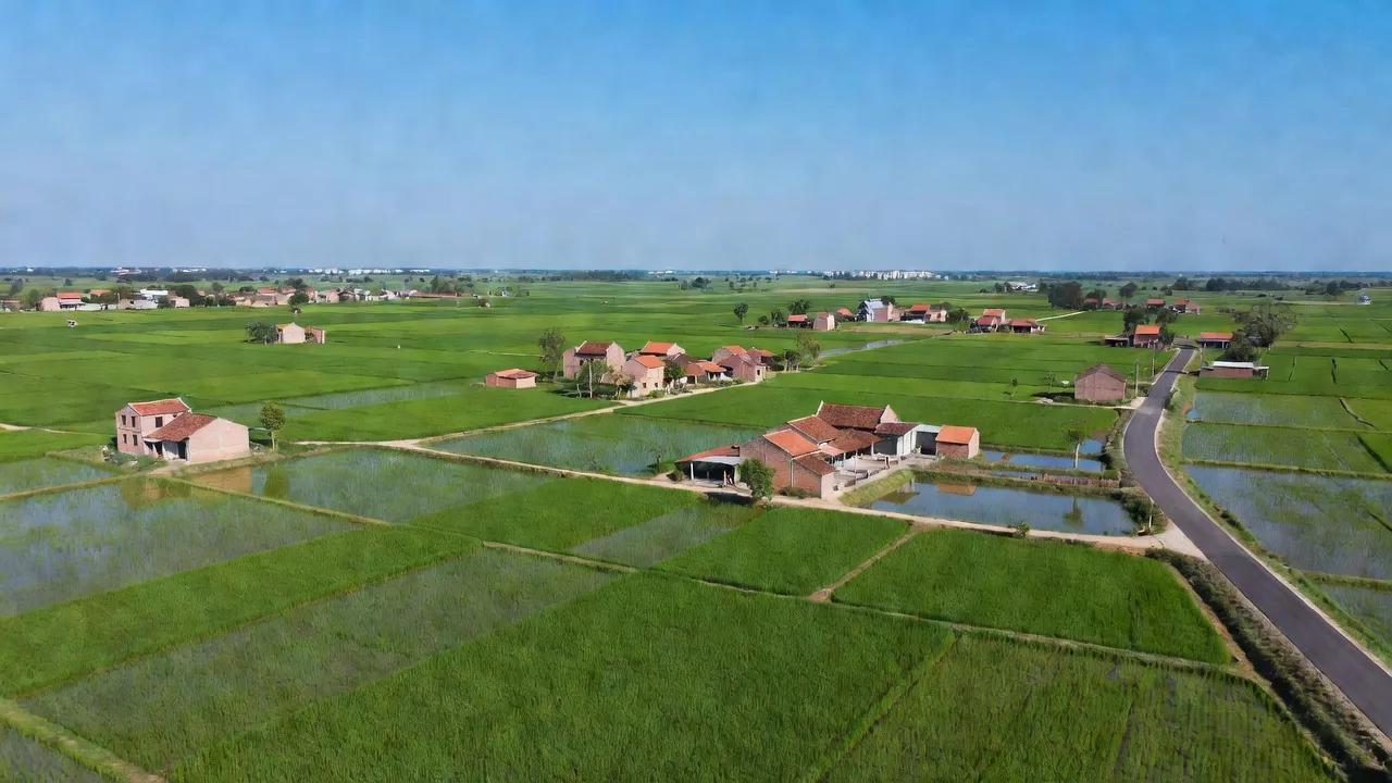 Khung cảnh xã Tân Phú, huyện Đức Hòa, tỉnh Long An với đồng xanh và nhà địa phương.