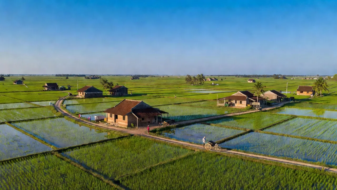 Xã Mỹ Bình, Huyện Đức Huệ, Tỉnh Long An