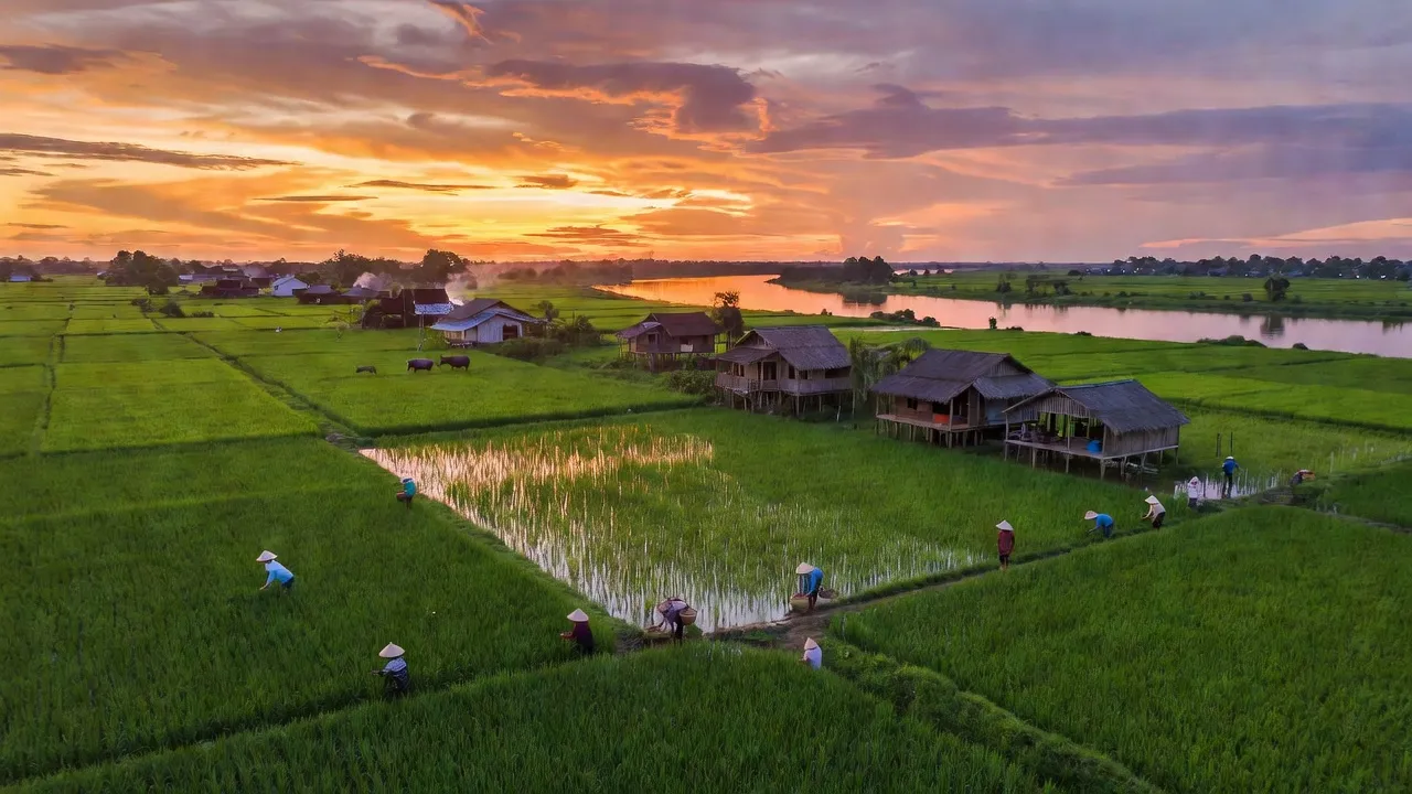 Xã Mỹ Thạnh Đông, Huyện Đức Huệ, Tỉnh Long An