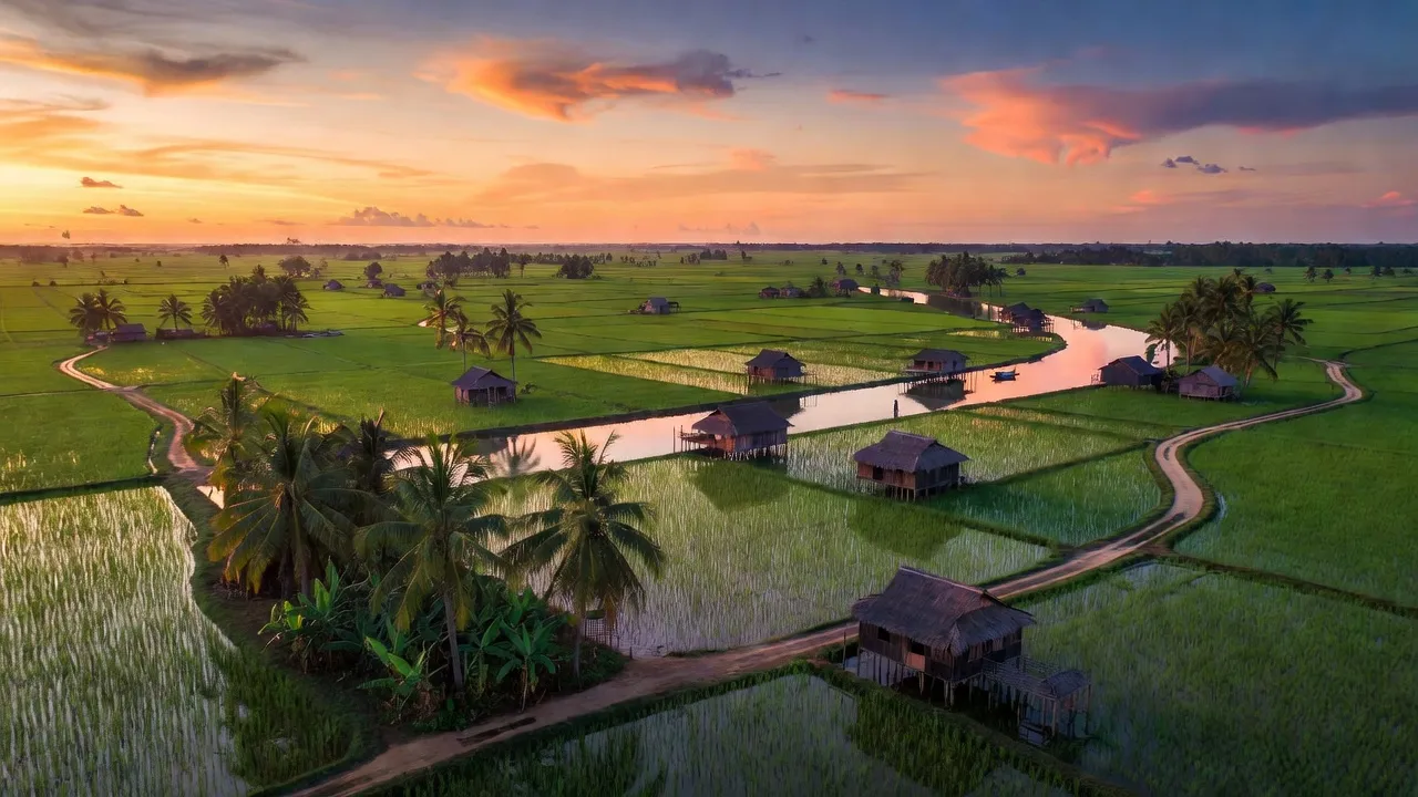 Khung cảnh thôn quê Thạnh Trị, Kiến Tường, Long An với cánh đồng xanh tươi và nhà truyền thống.
