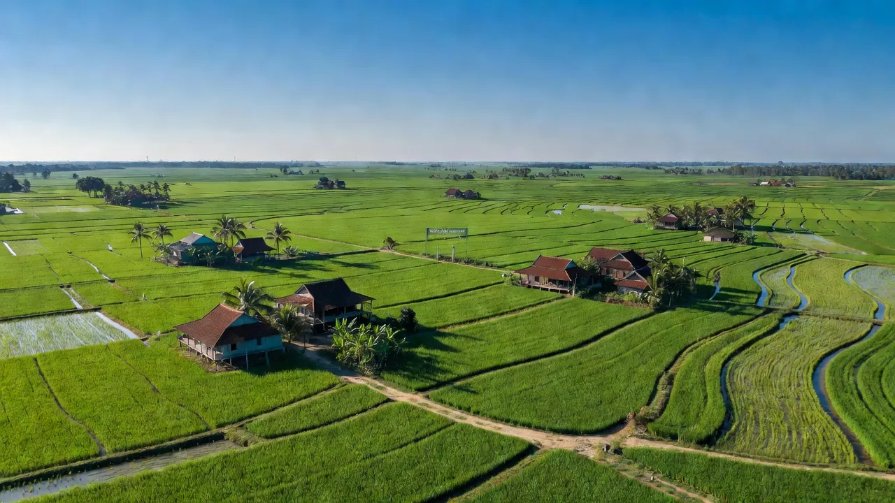 Xã Tân Thành, Huyện Mộc Hóa, Tỉnh Long An