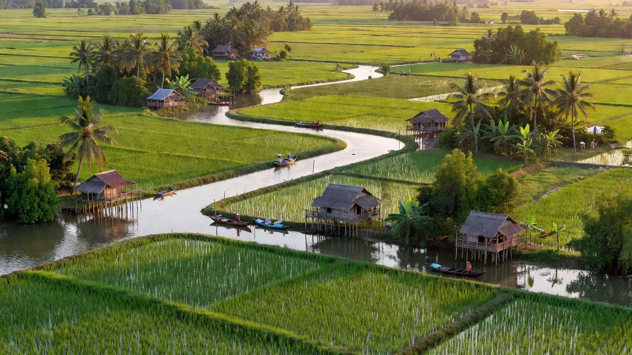 Hậu Thạnh Tây village in Tân Thạnh, Long An, showcasing lush rice fields and waterways.
