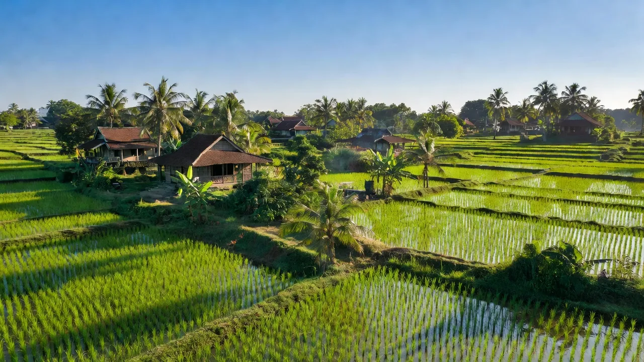 Nhơn Hòa Lập - hình ảnh minh họa 1