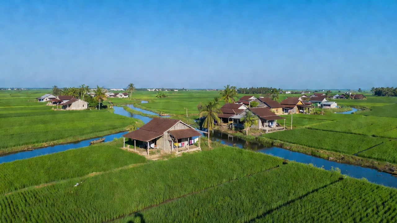 Tân Phước Tây - hình ảnh minh họa 1