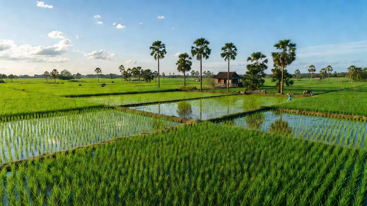 Xã Tân Đông, Huyện Thạnh Hóa, Tỉnh Long An