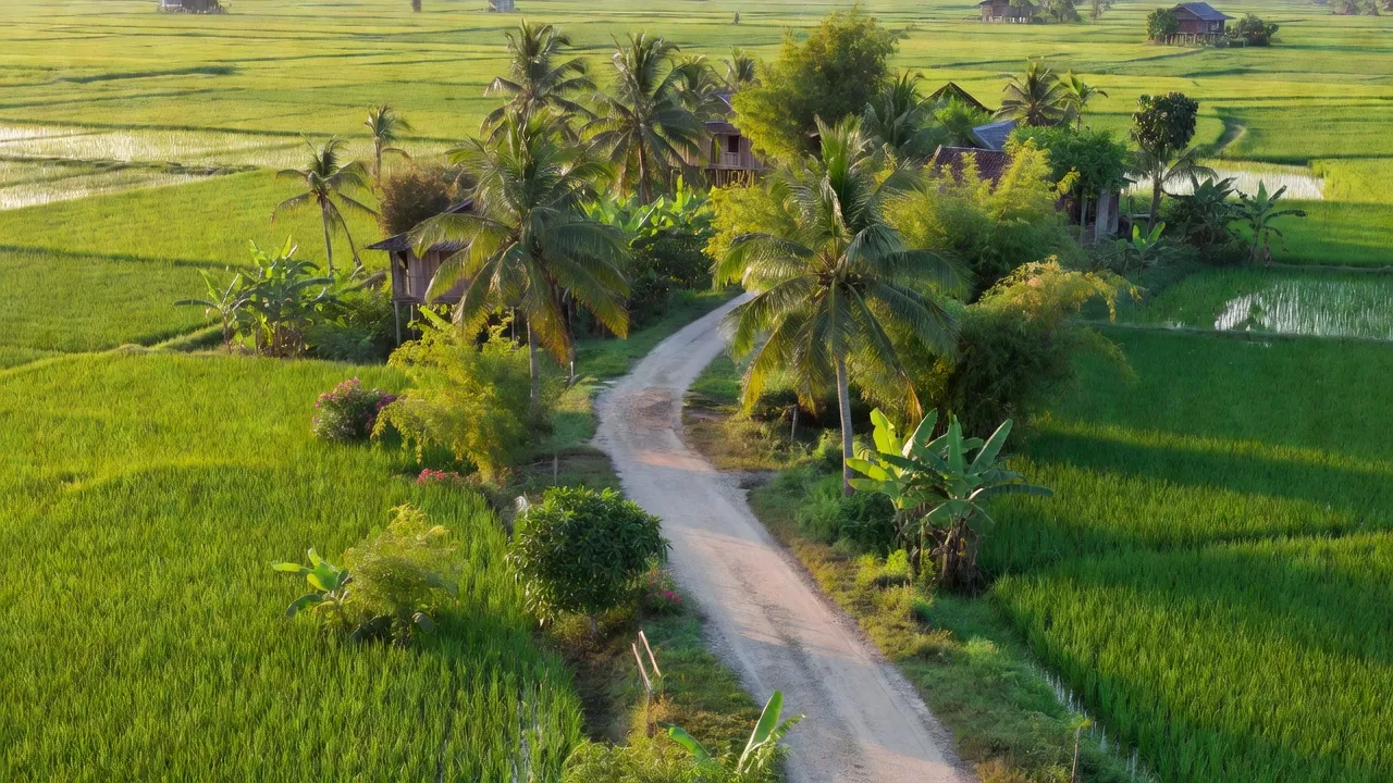 Cảnh quan nông thôn xã Tân Đông, huyện Thạnh Hóa, tỉnh Long An với cánh đồng xanh và cây cối.
