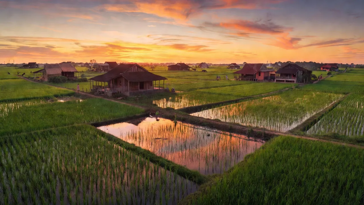 Xã Thủy Đông, Huyện Thạnh Hóa, Tỉnh Long An
