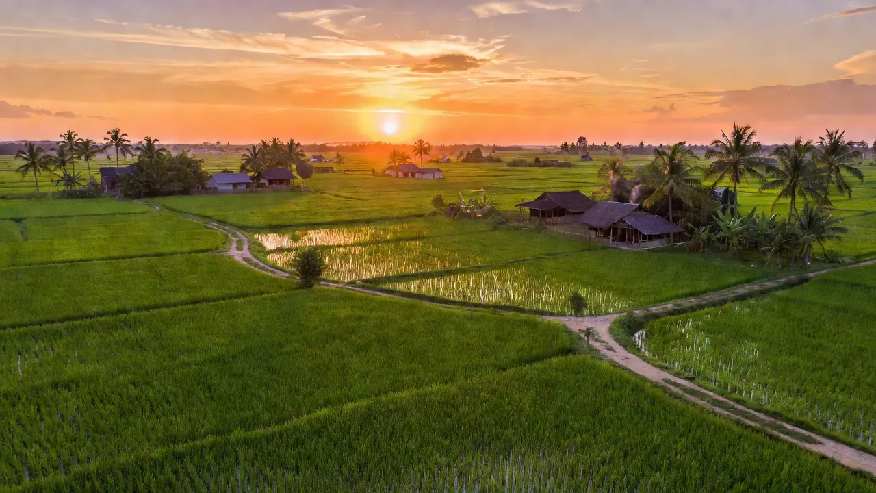 Tân Long - hình ảnh minh họa 1