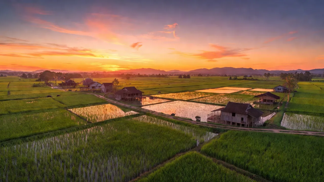 Khung cảnh Xã Tân Thành, huyện Thủ Thừa, tỉnh Long An với cánh đồng xanh và bầu trời hoàng hôn.