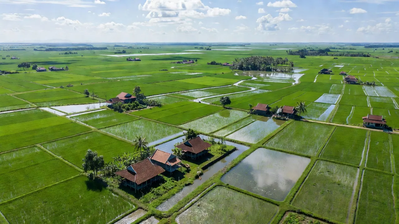 Cảnh quan huyện Vĩnh Hưng, Long An với đồng ruộng xanh, nhà truyền thống, và hệ thống kênh rạch.