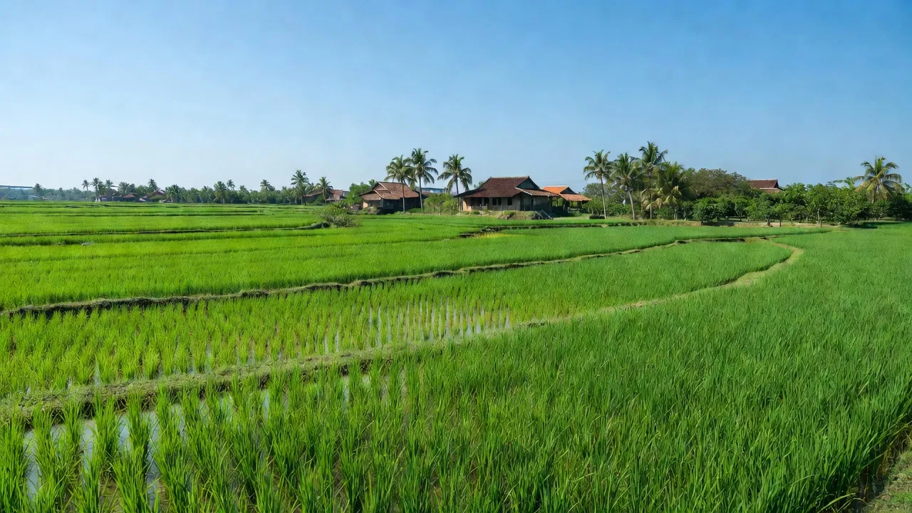 Cảnh quan xã Tuyên Bình, huyện Vĩnh Hưng, tỉnh Long An với cánh đồng xanh và nhà truyền thống.