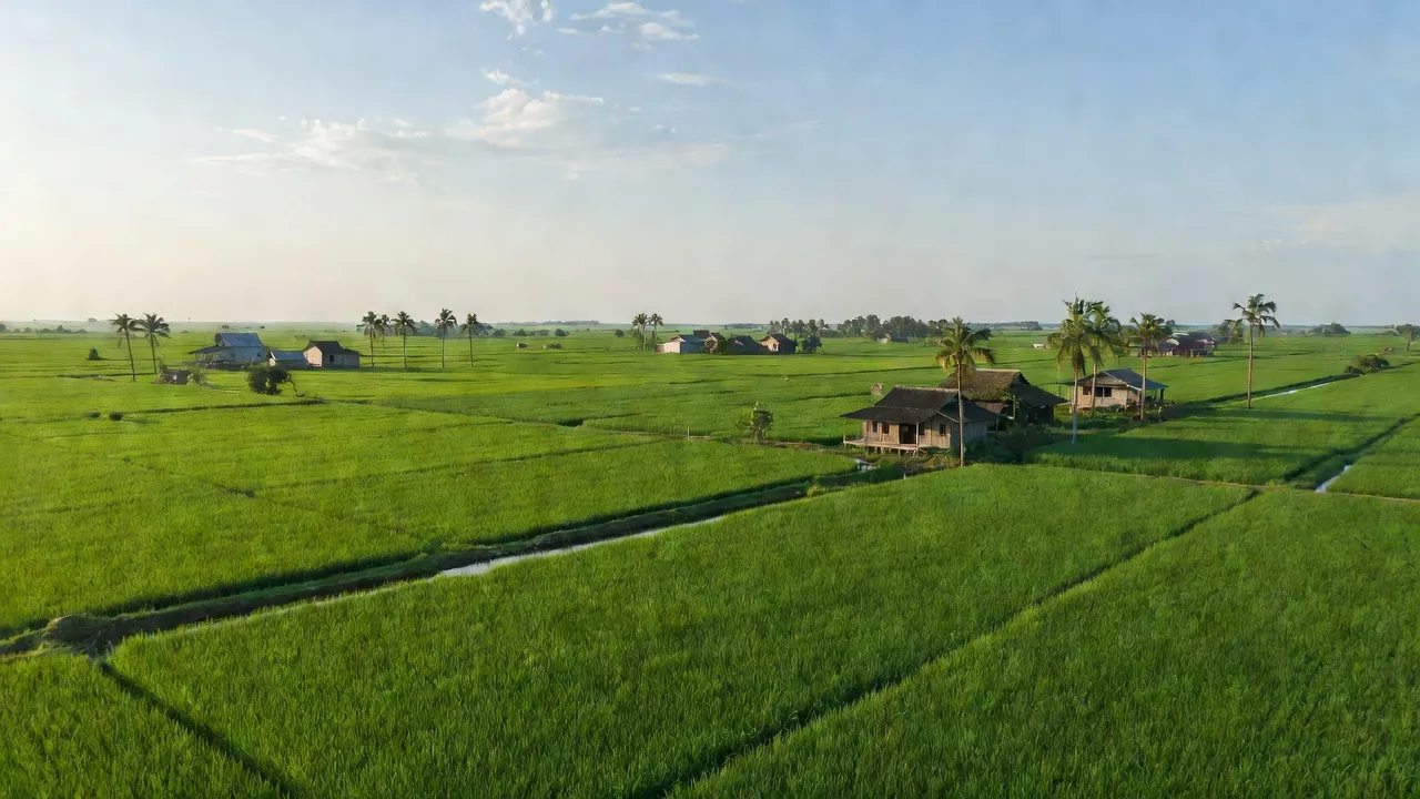 Xã Tuyên Bình, Huyện Vĩnh Hưng, Tỉnh Long An