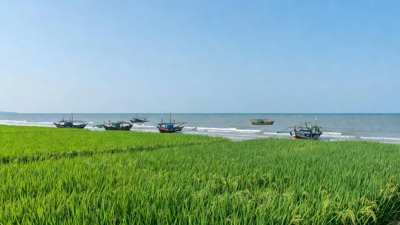 Quang cảnh xã Hải Châu, huyện Hải Hậu, tỉnh Nam Định với đồng ruộng và bờ biển xanh.