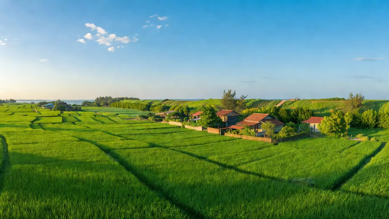 Hải Tây - hình ảnh minh họa 1