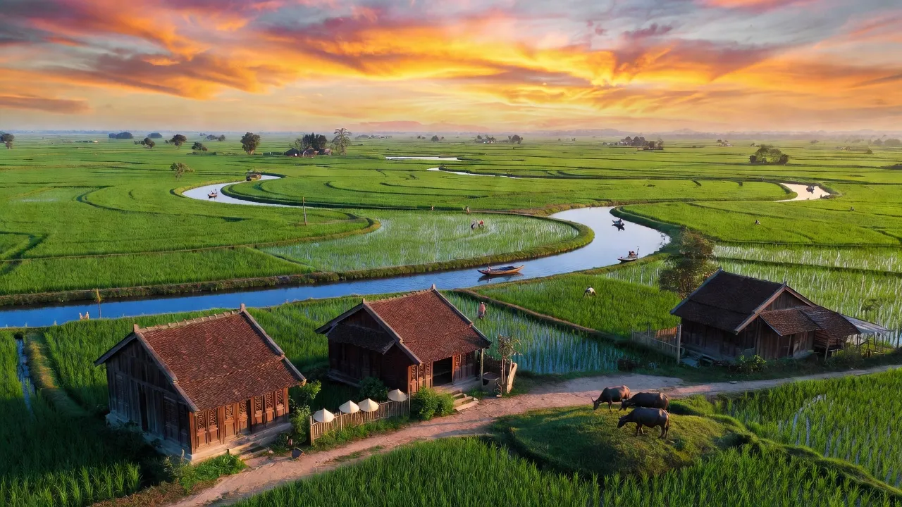 Cảnh sắc huyện Nam Trực, tỉnh Nam Định với cánh đồng xanh và dòng sông uốn khúc.