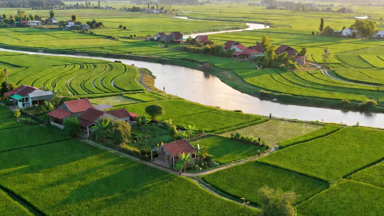 Nam Dương - hình ảnh minh họa 1