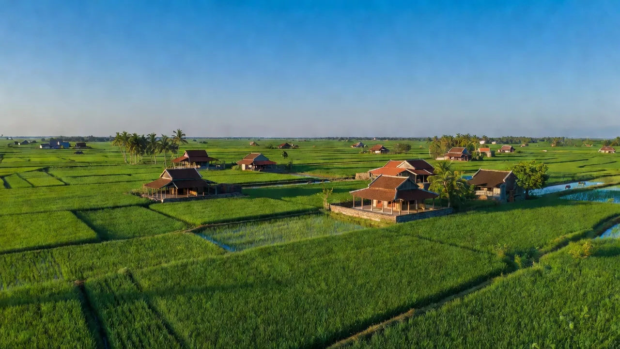 Xã Trực Đạo, Huyện Trực Ninh, Tỉnh Nam Định