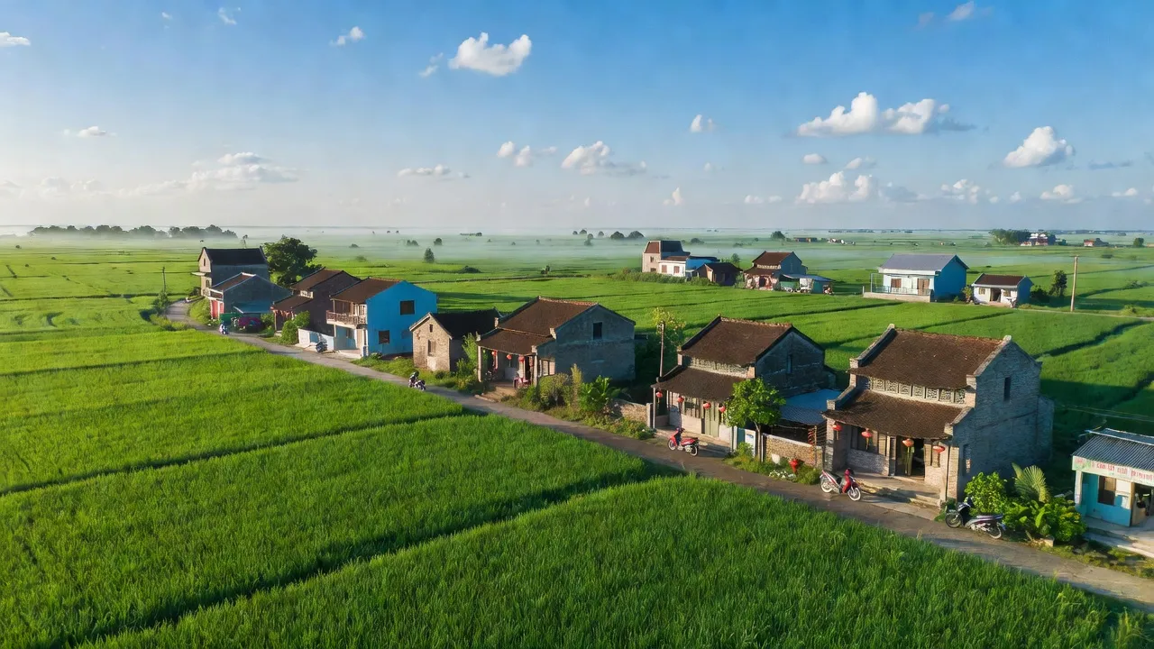 Cảnh quan xã Trực Tuấn, huyện Trực Ninh, Nam Định với đồng xanh và bầu trời trong.