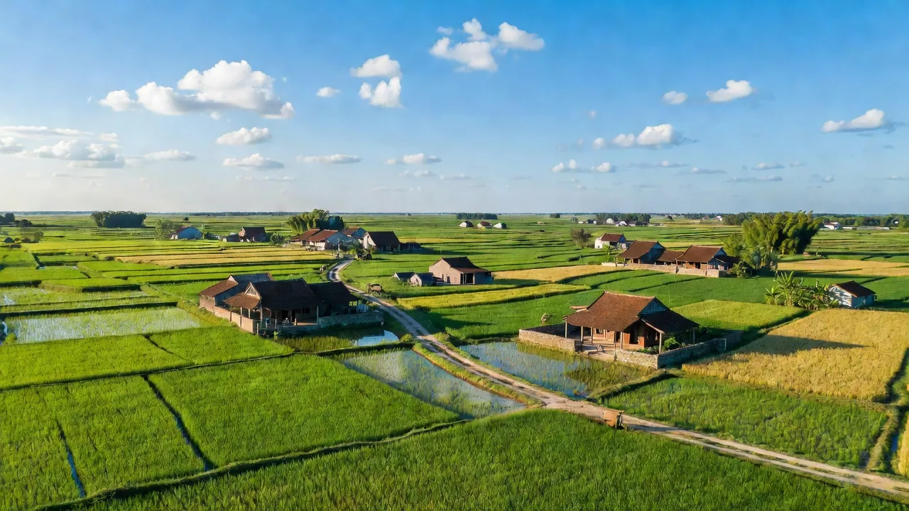 Trực Tuấn - hình ảnh minh họa 1