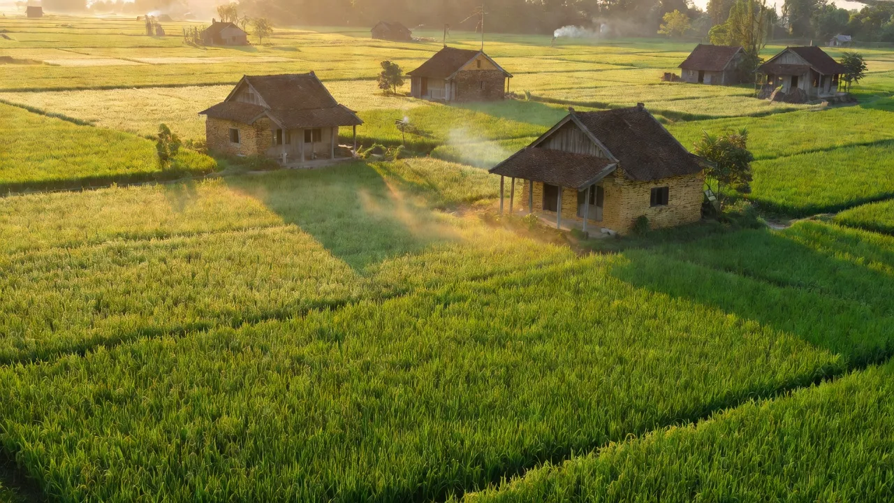 Cảnh đồng quê tại xã Đại Thắng, huyện Vụ Bản, tỉnh Nam Định với không gian bình yên, gần gũi.