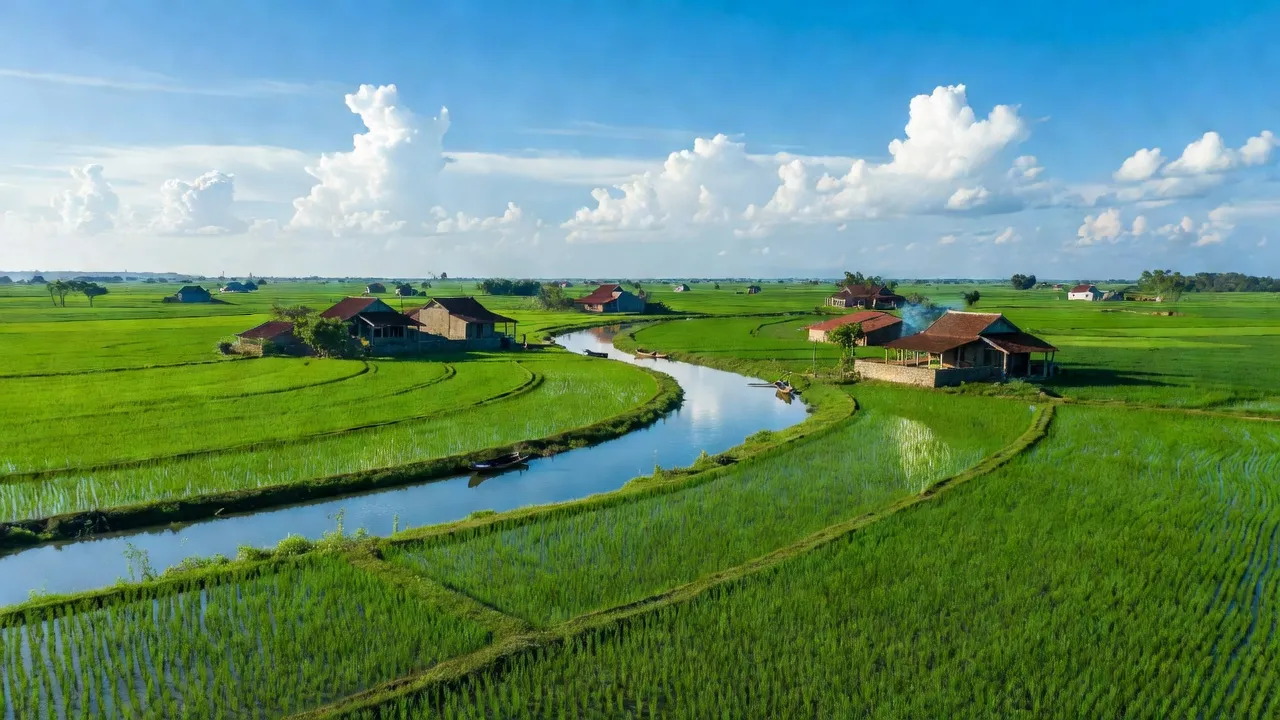 Cảnh đồng xanh tươi của xã Phú Hưng, huyện Ý Yên, tỉnh Nam Định với bầu trời trong xanh.