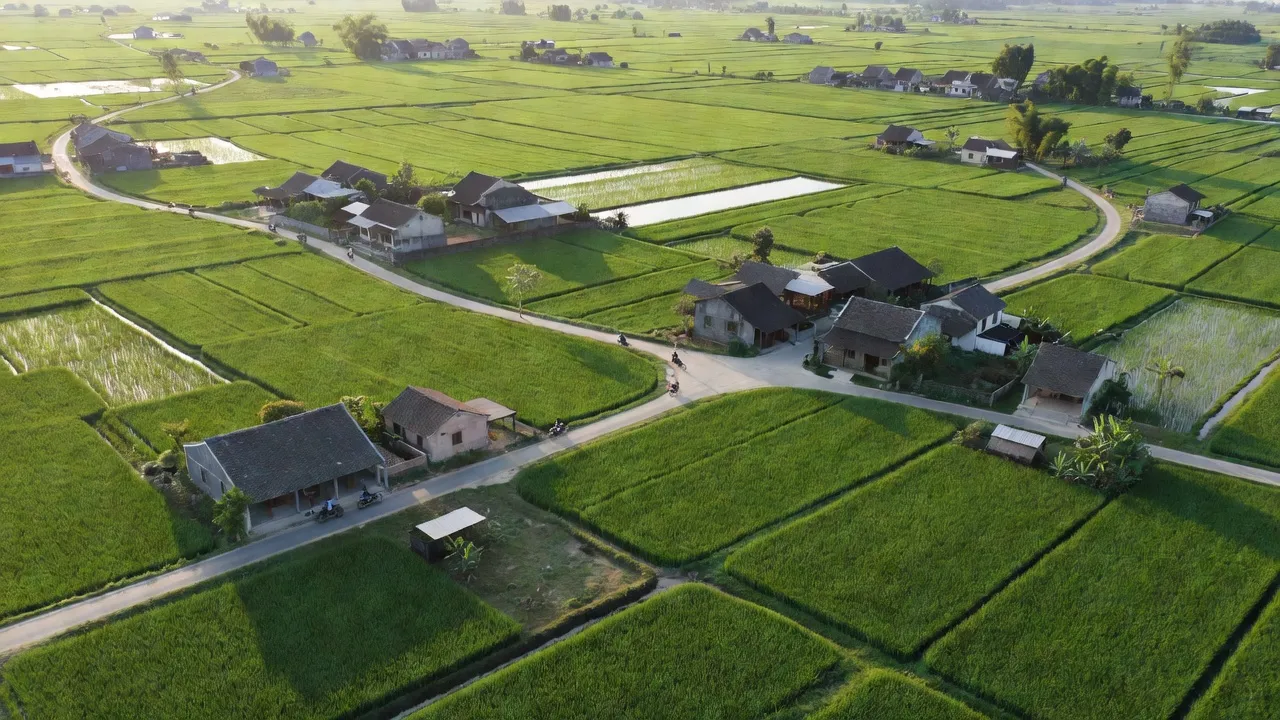 Cánh đồng xanh và ngôi nhà truyền thống tại xã Diễn Hoàng, huyện Diễn Châu, Nghệ An.