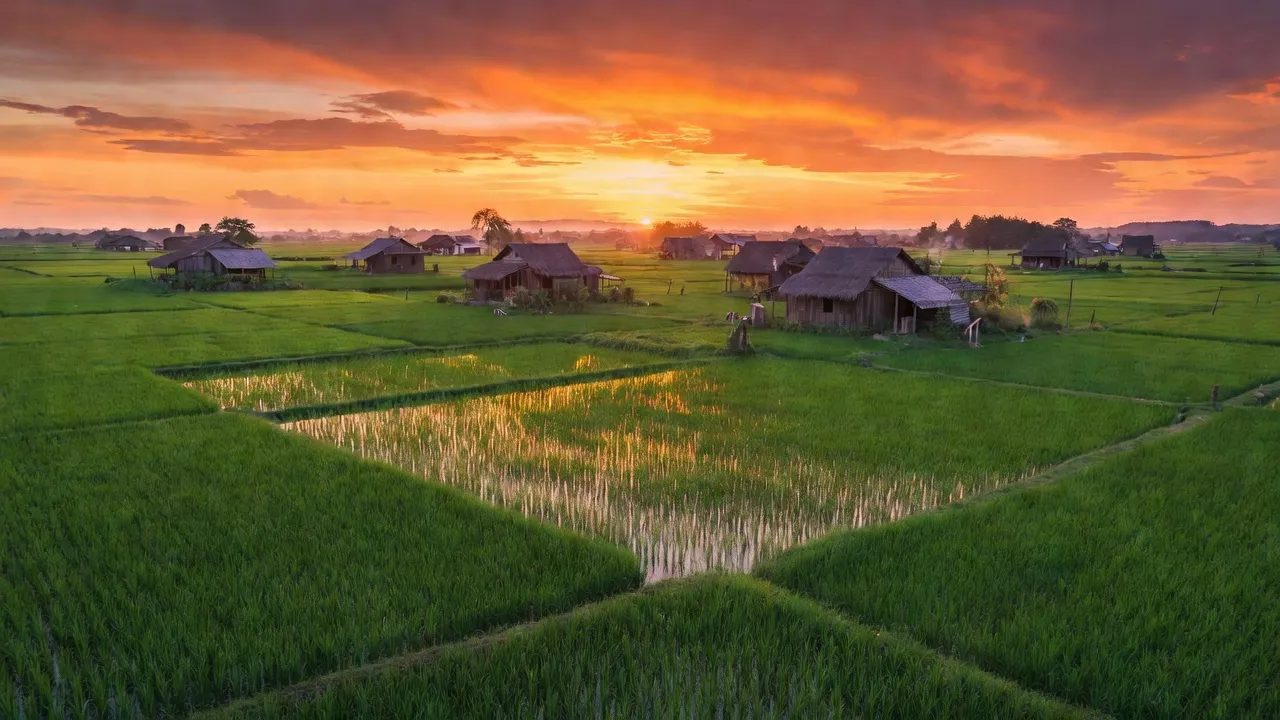 Khung cảnh bình yên xã Diễn Kỷ, huyện Diễn Châu, tỉnh Nghệ An với cánh đồng xanh và nhà truyền thống.