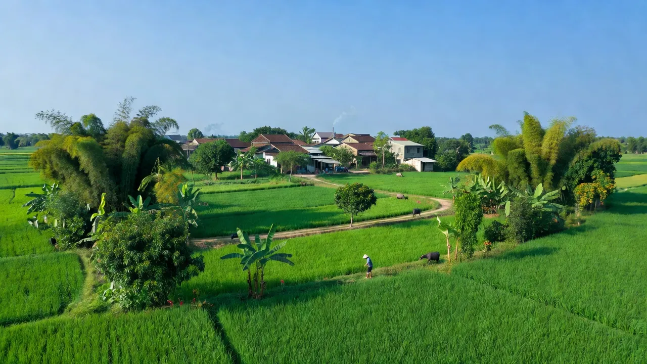 Khung cảnh xã Diễn Kỷ, huyện Diễn Châu, Nghệ An với đồng lúa xanh và bầu trời trong trẻo.