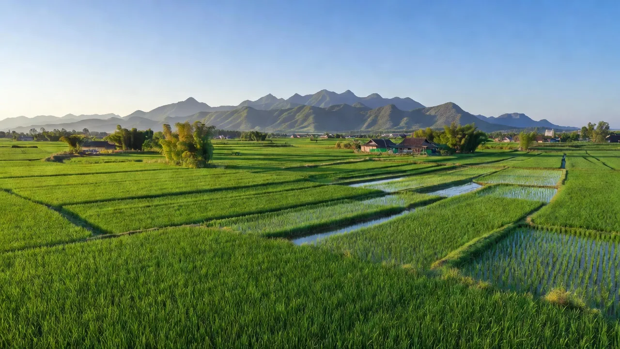 Khung cảnh yên bình ở xã Bồi Sơn, huyện Đô Lương, Nghệ An với đồng cỏ và núi phía xa.