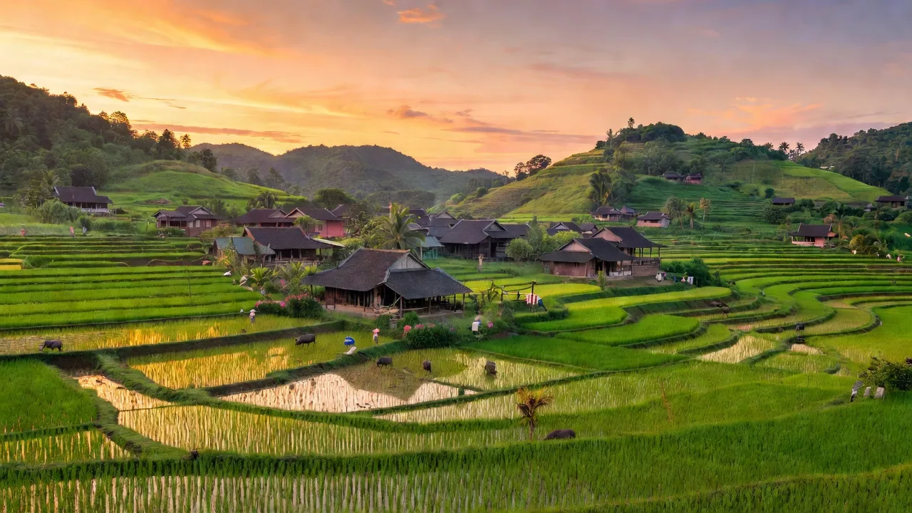 Khung cảnh làng Đà Sơn, huyện Đô Lương, tỉnh Nghệ An với đồng xanh và nhà truyền thống.