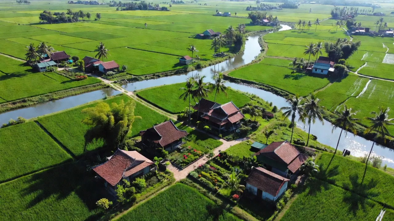 Cảnh đẹp xã Hưng Đạo, huyện Hưng Nguyên, Nghệ An với đồng ruộng và sông Lam.
