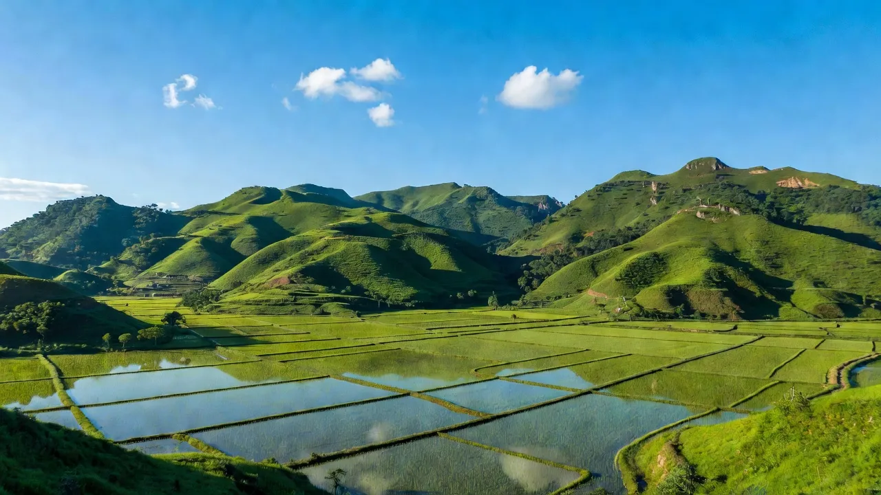 Cảnh đẹp xã Châu Hội, huyện Quỳ Châu, Nghệ An với núi đồi và cánh đồng lúa xanh mát.