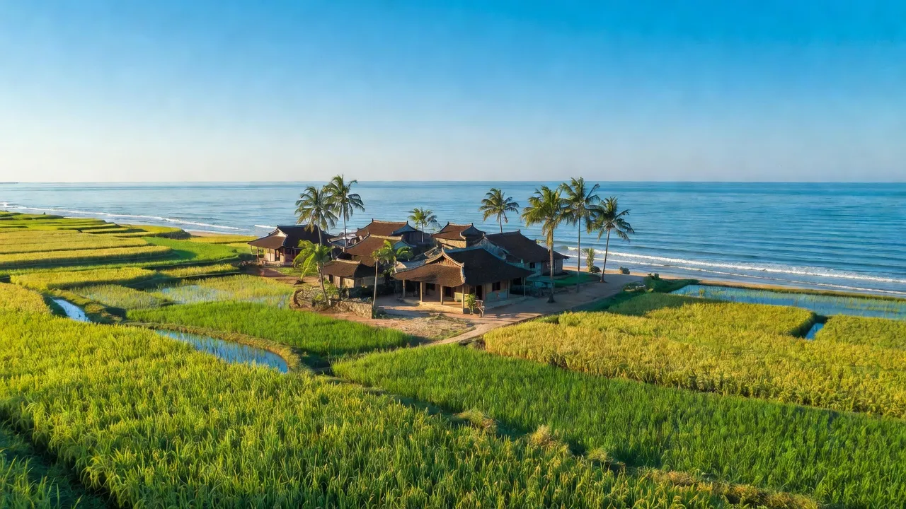 Cảnh đẹp yên bình tại xã Quỳnh Giang, huyện Quỳnh Lưu, Nghệ An với cánh đồng và biển.
