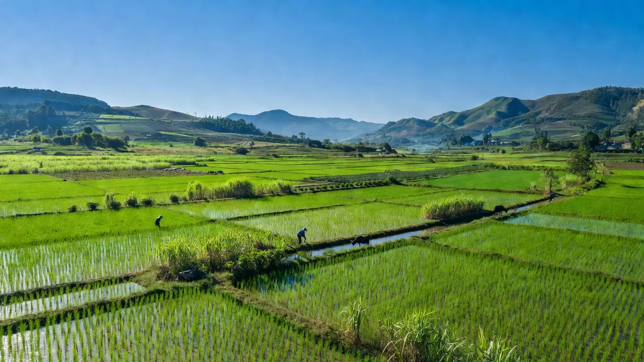 Đông Hiếu - hình ảnh minh họa 1
