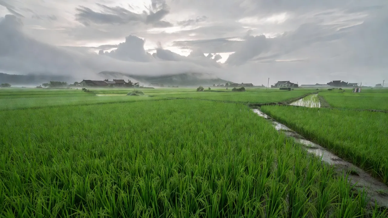 Xã Long Thành, Huyện Yên Thành, Tỉnh Nghệ An