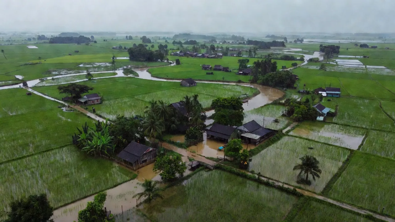Quang cảnh xã Long Thành, huyện Yên Thành, Nghệ An với cánh đồng xanh và nước ròng ròng.