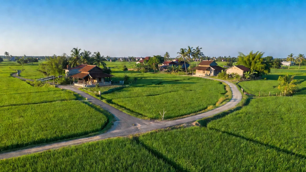 Cảnh đẹp xã Nam Thành, huyện Yên Thành, tỉnh Nghệ An với đồng xanh và đường kết nối.