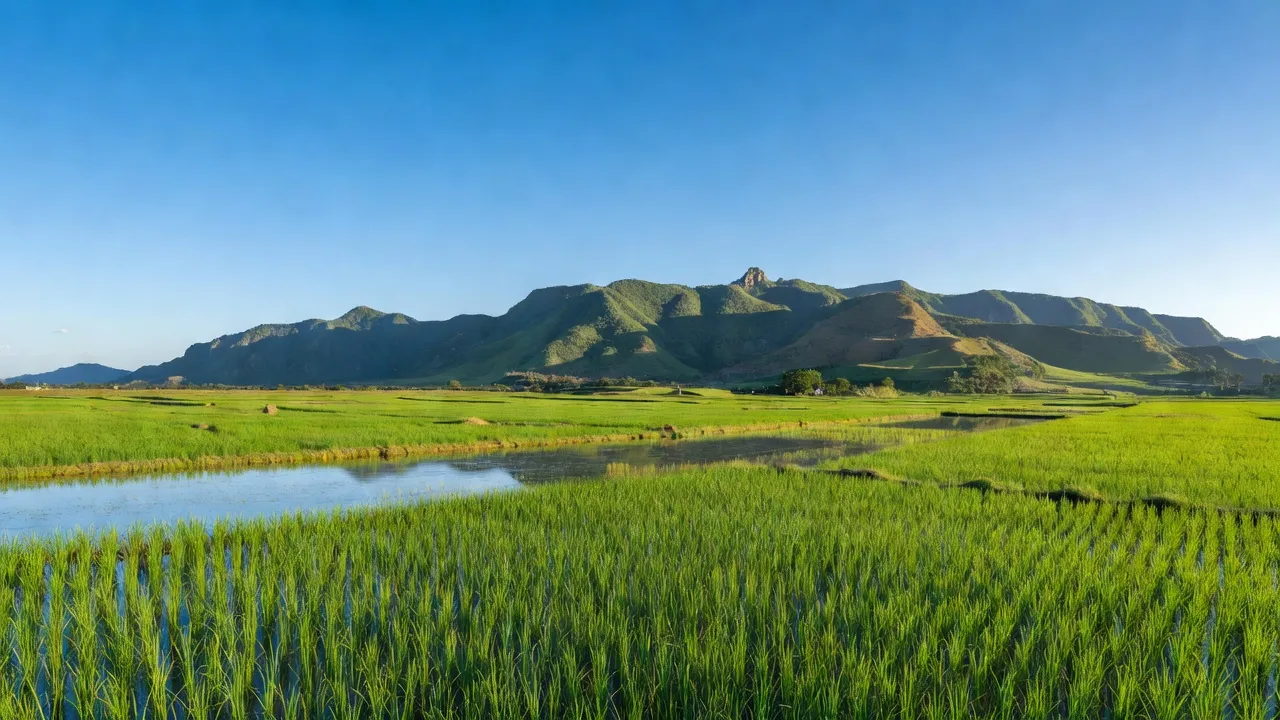 Cảnh thiên nhiên tại xã Ninh Nhất, Hoa Lư, Ninh Bình với đồng ruộng và núi xanh.