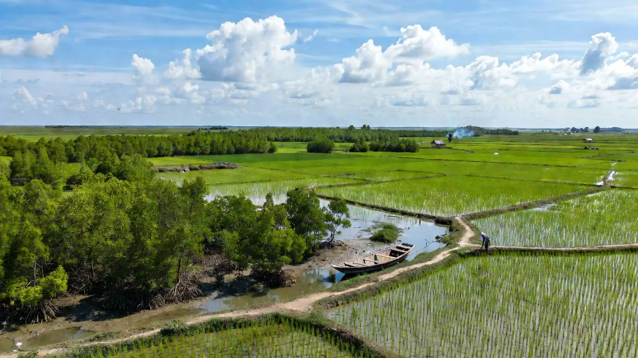 Xã Cồn Thoi, Huyện Kim Sơn, Tỉnh Ninh Bình