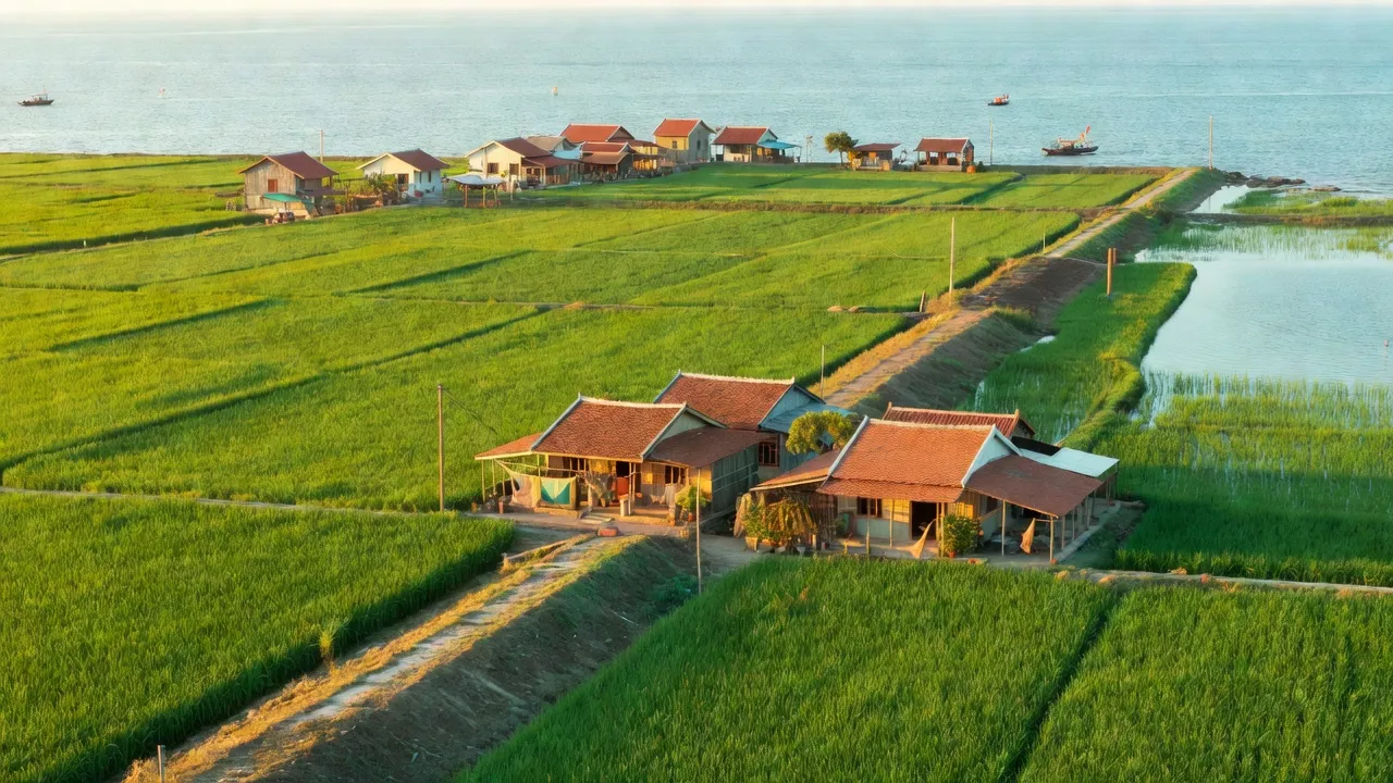 Cảnh đẹp xã Kim Đông, huyện Kim Sơn, tỉnh Ninh Bình, cánh đồng xanh và nhà ven biển.