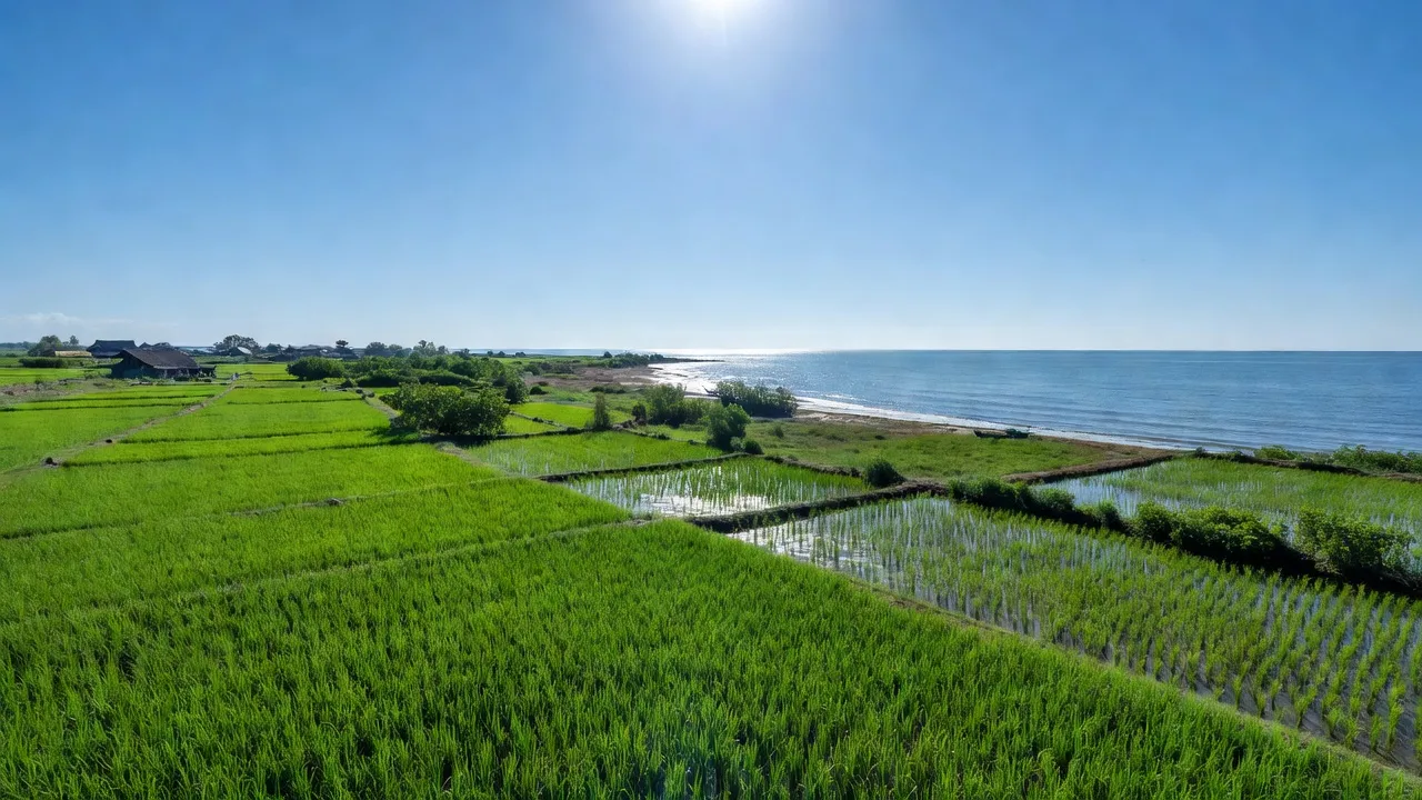 Khung cảnh xã Tân Thành, huyện Kim Sơn, tỉnh Ninh Bình với thiên nhiên đẹp và biển xanh.