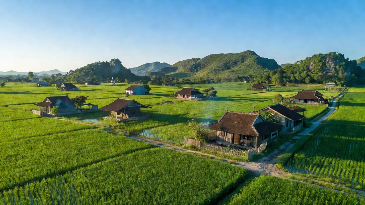 Cảnh quan xã Khánh Hồng, huyện Yên Khánh, tỉnh Ninh Bình với đồng lúa xanh tươi và nhà truyền thống.