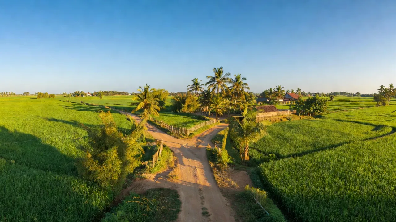 Cảnh đẹp xã Phước Thái, huyện Ninh Phước, tỉnh Ninh Thuận với cánh đồng xanh và bầu trời trong xanh.
