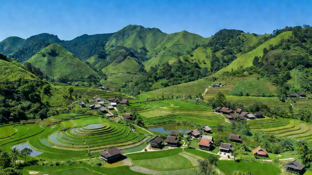 Hạ Hòa, Phú Thọ, cảnh đồng xanh và núi non, kiến trúc nông thôn đặc trưng Việt Nam.